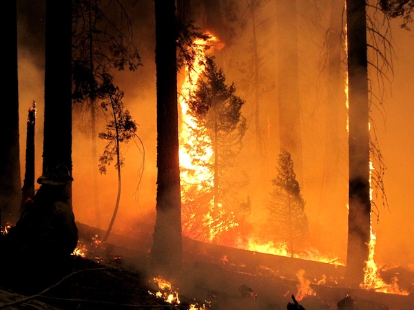 Fire raging in forest at night.