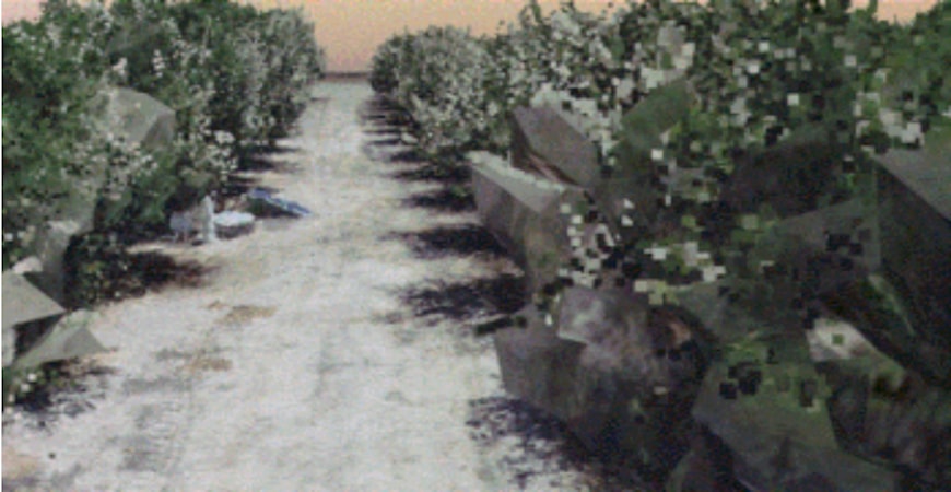 Ali Pourreza mapped an almond orchard using his drone. 